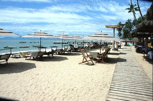La Palapa