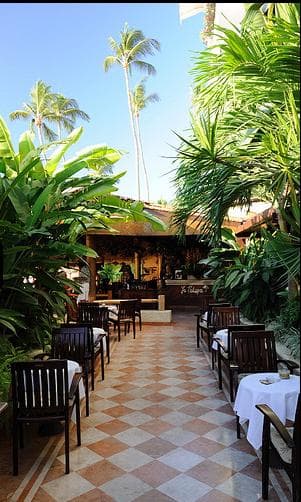 La Palapa
