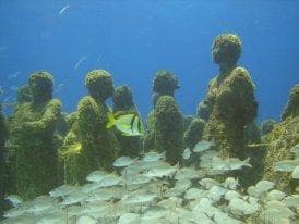 Isla Mujeres Trips