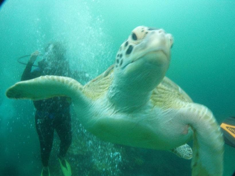 Isla Mujeres Trips