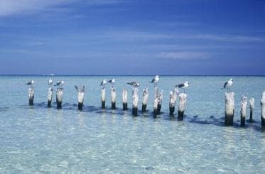 Isla Mujeres