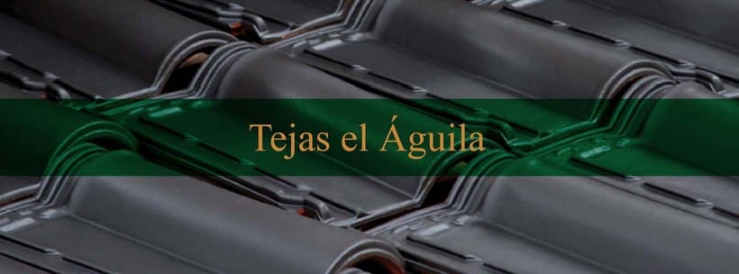 Tejas El Águila