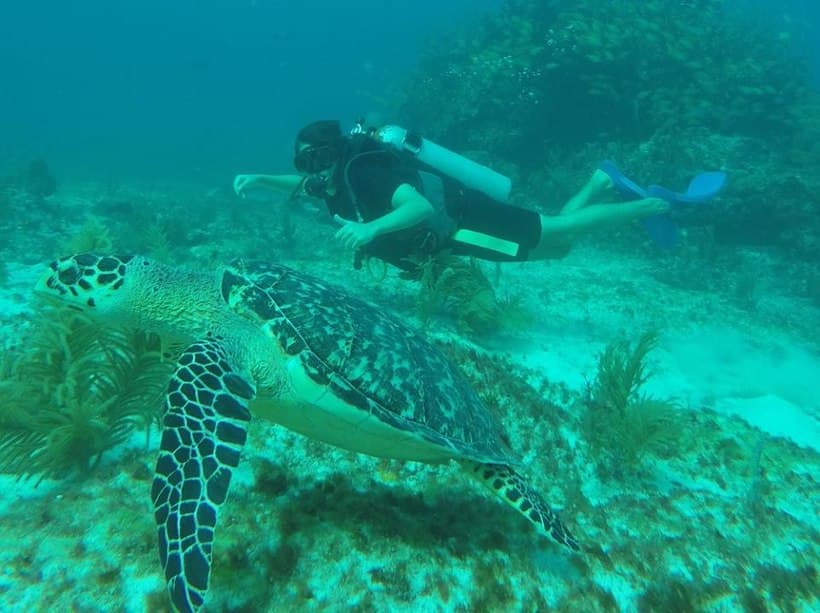 Diving Center Cancun