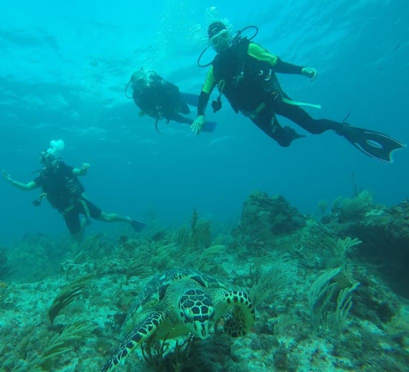 Diving Center Cancun