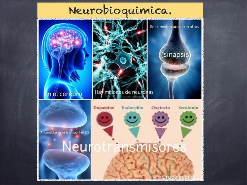 Psychiatry Baja California Sur